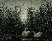 Caspar David Friedrich Schwane im Schilf France oil painting artist